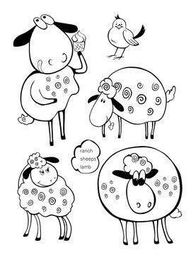 Lamb Set, Sheep, Farm set, caroon