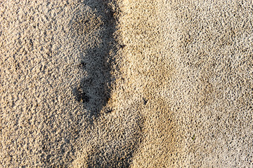 Sand surface after the rain