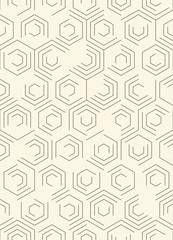 Seamless Hexagon Pattern. Vector Monochrome Chaotic Background