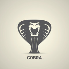 vector dangerous cobra snake icon