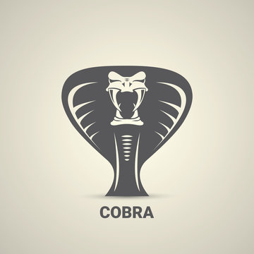 vector dangerous cobra snake icon