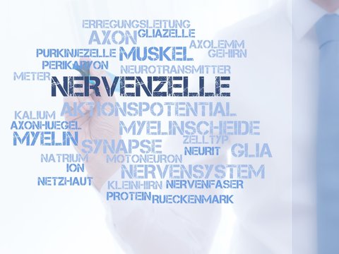 Nervenzelle