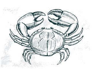 sea food element