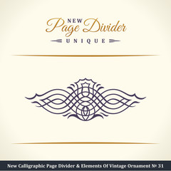 Fototapeta premium New Calligraphic Page Dividers and Elements of vintage ornaments