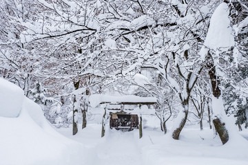 Winter Landscape around the famous traditional gassho-zukuri farmhouses village Shirakawa-go in Japan