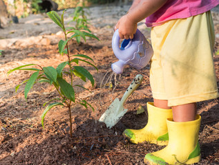 Kid giving water after planting young tree