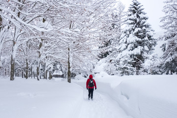 Winter Landscape around the famous traditional gassho-zukuri farmhouses village Shirakawa-go in Japan