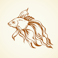 Golden fish. Vector drawing