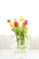 Tulpen