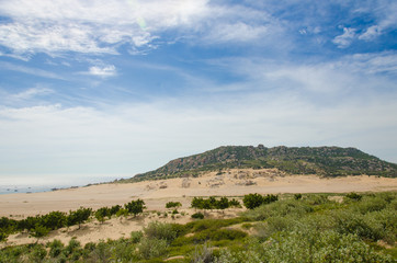 Sand dunes landscape with shrubs and rock at Ca Na, Ninh Thuan, Vietnam