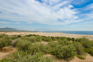 Sand dunes landscape with shrubs and rock at Ca Na, Ninh Thuan, Vietnam