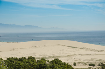 Sand dunes landscape with shrubs and rock at Ca Na, Ninh Thuan, Vietnam