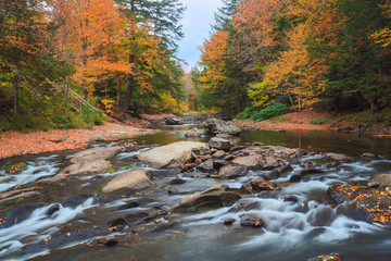 Autumn Color and a Flowing River
