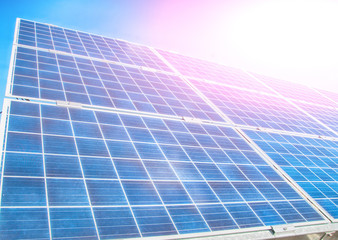 Obraz premium solar plant