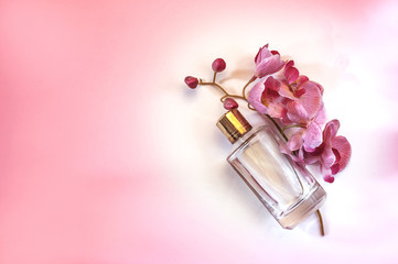 Obraz na płótnie Canvas bottle of women's perfume on a pink background