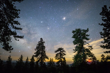 Fototapeta premium Night Sky in Sierra Nevada