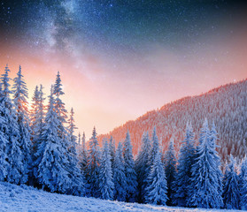 Fototapeta na wymiar starry sky in winter snowy night. fantastic milky way