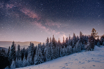 starry sky in winter snowy night. fantastic milky way