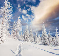 Fantastic winter landscape, steps, something leading into the mo