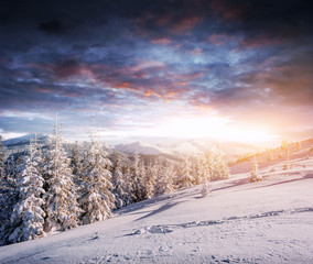Obraz premium Fantastic winter landscape, steps, something leading into the mo