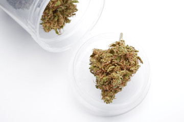 Close up of medical marijuana bud