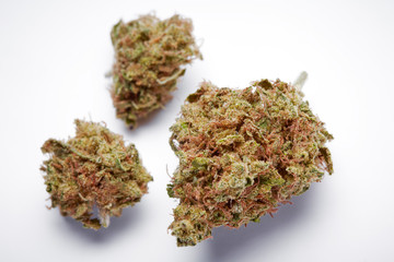 Close up of medical marijuana bud