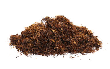 Dark tobacco isolated on white background, bright Virginia with dark rich Kentucky