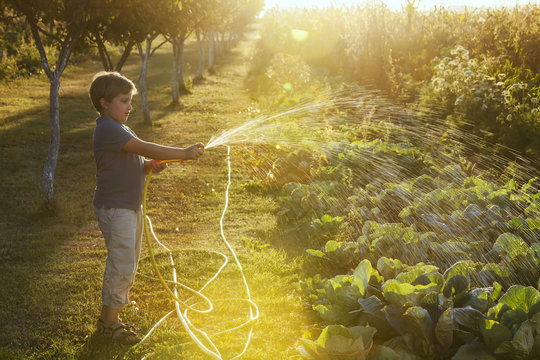Side view of boy watering vegetable garden