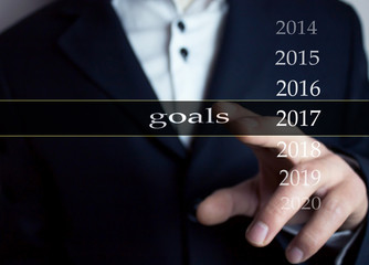 2017 business goals.