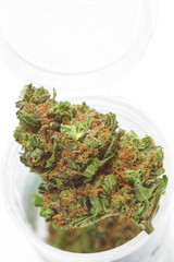 Close up of medical marijuana bud