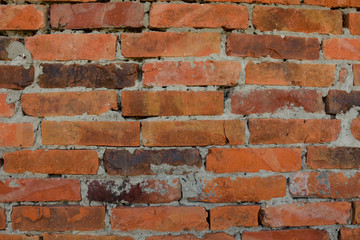 Fototapeta premium orange brick background