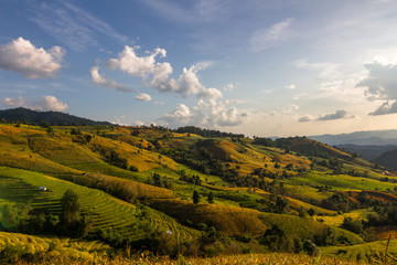 Obraz premium Green rice terrace on the mountain , Paddy