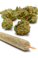 Close up of medical marijuana joint and buds