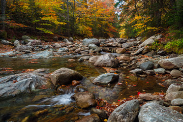 Fototapeta na wymiar Running river with autumn trees 