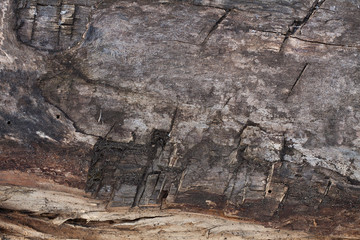 wood texture , surface, tree bark , wood background