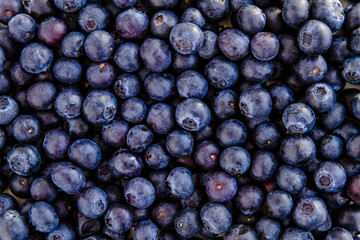 Assorted Fresh Berries and Pomegranate Seeds