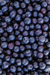 Assorted Fresh Berries and Pomegranate Seeds