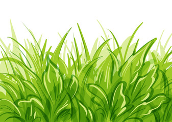 Vector grass background