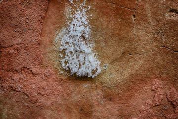 Texture di un muro con sali igroscopici