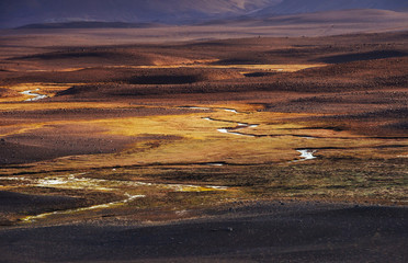 The picturesque landscapes forests and mountains of Iceland