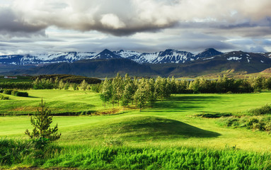 The picturesque landscapes of forests and mountains  Iceland