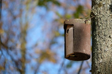Nistkasten für Vögel im Wald