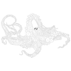 Monochrome hand drawn illustration of octopus.