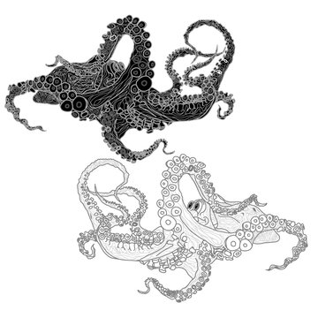 recommend clip art: Monochrome hand drawn illustration of octopus.
