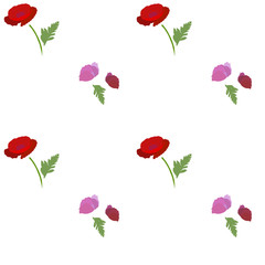 seamless floral pattern with poppies on white background. vector illustration.