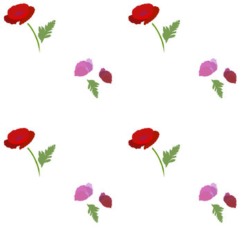 seamless floral pattern with poppies on white background. vector illustration.