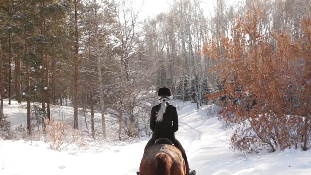 Young beautiful girl jockey riding a horse in winter forest