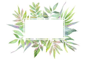 Hand drawn watercolor illustration. Label with Spring leaves. Floral design elements. Perfect for invitations, greeting cards, blogs, posters and more
