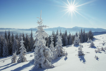Fototapeta na wymiar Fantastic winter landscape in the mountains of Ukraine. In antic