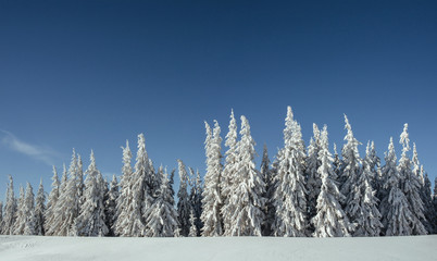 Mysterious winter landscape majestic mountains